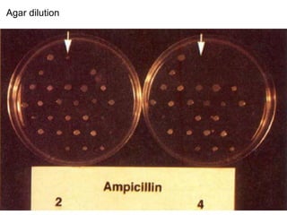 Phenotypic methods used in antimicrobial susceptibility testing