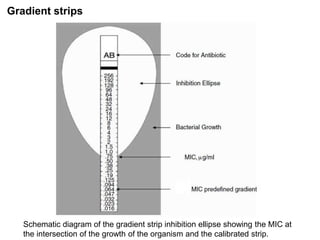 Phenotypic methods used in antimicrobial susceptibility testing