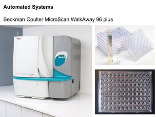 Phenotypic methods used in antimicrobial susceptibility testing