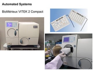 Phenotypic methods used in antimicrobial susceptibility testing