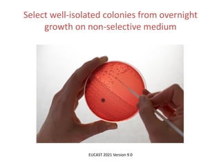 Phenotypic methods used in antimicrobial susceptibility testing