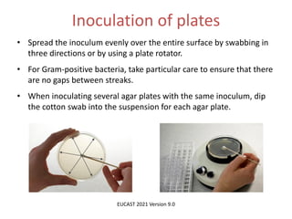 Phenotypic methods used in antimicrobial susceptibility testing