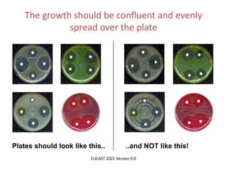 Phenotypic methods used in antimicrobial susceptibility testing