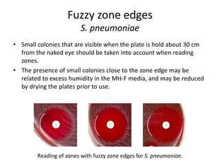 Phenotypic methods used in antimicrobial susceptibility testing