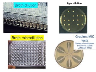 Phenotypic methods used in antimicrobial susceptibility testing