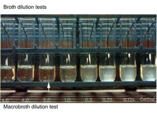 Phenotypic methods used in antimicrobial susceptibility testing
