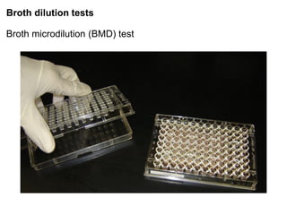 Phenotypic methods used in antimicrobial susceptibility testing