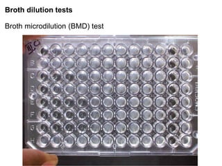Phenotypic methods used in antimicrobial susceptibility testing