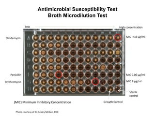 Phenotypic methods used in antimicrobial susceptibility testing