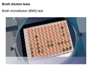 Phenotypic methods used in antimicrobial susceptibility testing