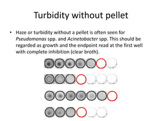 Phenotypic methods used in antimicrobial susceptibility testing