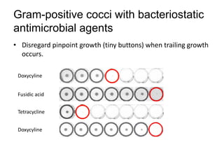 Phenotypic methods used in antimicrobial susceptibility testing