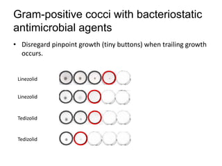 Phenotypic methods used in antimicrobial susceptibility testing