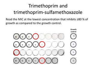 Phenotypic methods used in antimicrobial susceptibility testing