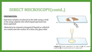 PHENOTYPIC METHODS OF Bacterial identification- conventional ...