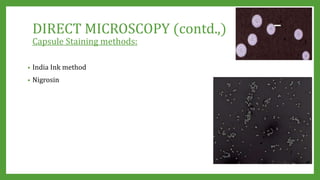 PHENOTYPIC METHODS OF Bacterial identification- conventional ...
