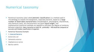 Phenotypic Tests(1).pptx that explin abaut the phenotypic | PPTX