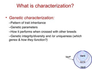 Biodiversity, resource base, animal breed level characterization, and utility of the information for goat genetic resources in Ethiopia