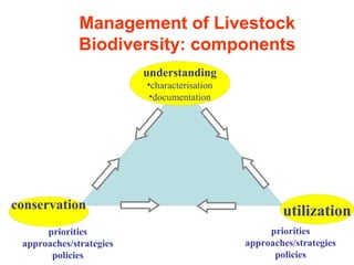 Biodiversity, resource base, animal breed level characterization, and utility of the information for goat genetic resources in Ethiopia