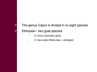 Biodiversity, resource base, animal breed level characterization, and utility of the information for goat genetic resources in Ethiopia