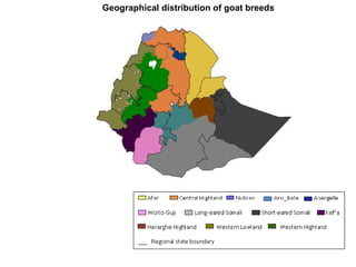 Biodiversity, resource base, animal breed level characterization, and utility of the information for goat genetic resources in Ethiopia