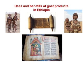Biodiversity, resource base, animal breed level characterization, and utility of the information for goat genetic resources in Ethiopia
