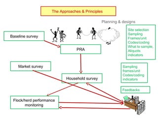 Biodiversity, resource base, animal breed level characterization, and utility of the information for goat genetic resources in Ethiopia