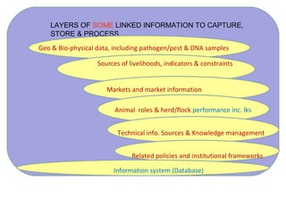 Biodiversity, resource base, animal breed level characterization, and utility of the information for goat genetic resources in Ethiopia