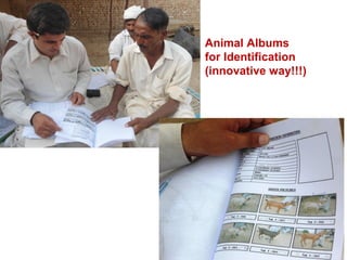 Biodiversity, resource base, animal breed level characterization, and utility of the information for goat genetic resources in Ethiopia