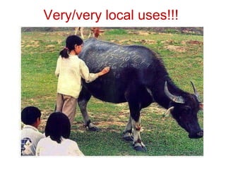 Biodiversity, resource base, animal breed level characterization, and utility of the information for goat genetic resources in Ethiopia