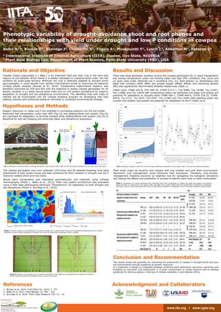 www.iita.org I www.cgiar.org
Phenotypic variability of drought-avoidance shoot and root phenes and
their relationships with yield under drought and low P conditions in cowpea
Belko N¹*, Boukar O¹, Burridge J3, Chamarthi S¹, Togola A¹, Moukoumbi Y¹, Lynch J 3, Abberton M², Fatokun C²
1 International Institute of Tropical Agriculture (IITA), Ibadan, Oyo State, NIGERIA
2 Plant Root Biology Lab, Department of Plant Science, Penn State University (PSU), USA
Rationale and Objective
Cowpea (Vigna unguiculata (L.) Walp.) is an important food and cash crop in the semi-arid
regions of sub-Saharan Africa where it is widely cultivated on marginal lands under rain-fed
condition by small-scale farmers. Although the crop is relatively adapted to drought prone
agro-ecologies, it could benefit from genetic improvement aimed at improving its tolerance
multiple abiotic stresses (Boukar et al., 2016). Collaborative experimental research was
therefore conducted by IITA and PSU with the objective to assess cowpea germplasm for its
genetic variation in (i) water-saving shoot traits and (ii) root system architecture for superior
adaptation to drought and low phosphorus environments. The identified lines with traits of
interest will be incorporated into the cowpea breeding program for developing new high
yielding cultivars with enhanced tolerance individual or combined environmental stresses.
The cowpea germplasm mini-core collection (374 lines) and 50 selected breeding lines were
phenotyped in both screen-house and field conditions for their variation in drought and low P
tolerance related shoot and root traits.
Whole plant transpiration was estimated gravimetrically and indirectly using infrared
thermography (Photo 1: Belko et al., 2013). Plant root system architecture was evaluated
using a field base phenotyping technique “Shovelomics” for adaptation to both drought and
low phosphorus (Photo 2: Burridge et al., 2016).
Results and Discussion
There was large genotypic variation among the cowpea germplasm for (i) plant transpiration
and canopy temperature under non-limiting water and high VPD conditions (Fig. 2a,b) and
(ii) grain yield under relatively low P conditions (Fig. 2c). Root phenes i.e. adventitious and
basal root numbers (ARN, BRN) and growth angles (ARGA, BRGA) and branching density
(BD) also significantly discriminated between tested lines (Table 1).
IT86D-1010, IT98K-205-8, IT97-499-35, IT99K-573-2-1, TVu-9486, TVu-14788, TVu-15391,
TVu-11986, and TVu-14676 with conservative water-use attributes and steep root system are
potential for adaptation to drought while IT98K-506-1, IT99K-494-6, IT07K-318-33, IT99K-
494-6, Tvu-2731, Tvu-5415, TVu-9797, TVu-11982 and TVu-15055 with seedling basal root
number and shallow root system are potential for adaptation to low P (Table 1a,b).
Conclusion and Recommendation
The results reveal the possibility for improving the productivity of cowpea in drought-prone and poor
soil environments through exploiting its genetic resources.
It is important to design an integrated strategy combining plant phenomics, genomics, agronomy and
modeling to maximize crop productivity in a given environment or stress scenario and to develop
guidelines for farming options in the face of climate variability in sub-Saharan Africa.
References
1. Boukar et al. 2016: Front Plant Sci. 2016; 7: 757
2. Belko et al. 2013: Plant Biology 15: 304 – 316
3. Burridge et al. 2016: Field Crops Research 192: 21 – 32
Hypotheses and Methods
Edaphic resources i.e. water and P are stratified in contrasting patterns into the soil profile:
Restricted leaf transpiration under high VPD (Fig.1a) and steep/profuse root system (Fig.1b)
are important for adaptation to terminal drought while shallow/dense root system (Fig.1b) is
beneficial for sub-soil foraging and enhanced water and phosphorus acquisition.
TCanopy = Sum ((Ti x Pxi) / Pxt) Ig = (Tdry leaf – TCanopy) / (TCanopy – Twet leaf)
Photo 1: Thermal image (a) and distribution of number of pixels over a range of plant canopy and background temperatures (b) for indirect
estimation of plant canopy temperature (Tcanopy) as a proxy for whole plant transpiration rate in cowpea.
Numberofpixels
Temperatures ( C)
Rangeofleavestemperatures Rangeof backgroundstemperatures
B
(b)(a)
Photo 2: Shallow (a) and steep (b) root systems evaluated for their difference in adventitious and basal root numbers,
growth angles and branching densities using a visual scoring board.
(a) (b)
RootSystemArchitecture/Potentialfor
adaptationtodroughtandlowPstress
environements
Genotype ARGA BRGA ARN BRN BD5-10cm
Grainyield
(kg/ha)
IT98K-1111-1 40.00±5.28 40.00±2.00 12±3.61 9±1.20 10±1.26 1207±380
TVu-11982 41.11±4.84 33.33±3.33 11±1.28 6±0.56 10±0.91 818±NA
TVu-9797 43.33±3.33 27.77±4.01 13±5.28 10±2.41 11±2.02 1349±422
TVu-15055 41.66±4.41 35.55±2.94 10±1.53 5±0.73 10±1.60 2683±NA
IT07K-318-33 36.66±1.92 28.88±5.56 8±0.51 7±0.59 10±0.68 3344±239
IT99K-494-6 43.33±6.67 36.66±6.02 8±1.00 4±0.60 10±1.76 1932±627
….
….
….
….
….
….
….
IT86D-1010 57.77±7.77 47.77±7.77 8±1.06 6±1.01 10±0.29 NA
TVu-11986 50.00±0.00 50.00±10.00 6±1.45 9±0.67 8±0.88 1509±196
TVu-6443 63.33±3.33 50.00±5.77 9±3.21 7±1.20 12±2.03 1369±533
IT98K-205-8 50.00±0.00 46.66±6.66 6±0.88 5±0.67 8±2.20 1083±48
IT97-499-35 56.66±3.33 46.66±6.66 10±3.06 5±0.58 10±0.58 1391±104
Tvu-14676 55.55±4.44 51.11±8.88 7±0.33 7±2.51 15±3.71 2790±591
Mean(33geno) 50 40 9 7 11 1928
ShallowRootSystem(ARGA<45,BRGA<45,
ARN>8)potentialforadaptationtolow
phosphorusenvironment
SteepRootSystem(ARGA>45,BRGA>45,
BD5-10cm>8)potentialforadaptationto
drought-proneenvironment
Genotype TPRL BRN
TVu-6443 4.0±0.8 0.0±0.0
IT81D-985 7.7±0.9 7.3±0.5
TVu-9797 13.0±1.6 6.3±1.2
IT89KD-288 13.0±1.4 6.7±1.7
TVu-15055 14.0±1.6 7.0±0.8
TVu-1438 13.7±1.7 5.3±0.5
….
….
….
IT98K-205-8 22.3±1.2 12.0±0.8
IT98K-506-1 22.3±0.5 12.3±0.5
IT96D-610 22.0±0.8 12.7±1.2
IT07K-318-33 21.0±2.2 10.3±1.2
IT99K-494-6 20.3±0.5 11.7±1.2
IT98K-1111-1 19.0±1.4 15.0±0.8
Mean(33geno) 16.7 9.4
Fvalue 34.22 23.44
Pr>F <.0001 <.0001
CV 9.32 13.31
LOWHIGH
Table 1: Classification of cowpea genotypes with contrasting adult plant morphology (a: shallow and steep root system) and seedling
stage root traits (b: total primary root length (TPRL) and basal roots number (BRN)) and their hypothesized contribution to adaptation
to drought and low P. Plant genotypes with TPRL and high BRN are potential for adaptation to low P and early vegetative stage drought.
(a) (b)
Water spender
under high VPD
Water saver
under high VPD
Fig. 1: Difference in leaf water losses in response atmospheric vapor pressure deficit (VPD) (a) and root system architecture (b) for water and P acquisition.
H2O P
5%
18%
11%
23%
10 cm
20cm
30cm
4ppm
2ppm
0.5ppm
0.25ppm
40cm
(a) (b)
Fig.2: Genotypic variation in plant TR (a) and canopy temperature depression (b) and grain yield (c) among the cowpea germplasm.
(b)
(a) (c)
Plant traits might be dynamic and interact with one another and with their environment.
Agronomic crop management could influences their expression. Therefore, crop-climate-
management modeling becomes an essential tool for navigating the biological complexity
and testing the effects and probability of success of specific plant trait or traits combination.
Acknowledgment and Collaborators
 