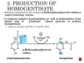  Reaction catalyzed by the enzyme p-Hydroxyphenylpyruvate oxidase,a
copper-containing enzyme.
 It catalyzes oxidative decarboxylation as well as hydroxylation of the
phenyl ring of p-hydroxyl phenyl pyruvate to produce
homogentisate.
 requires ascorbic acid (Vit. C) and Vit. B12
 