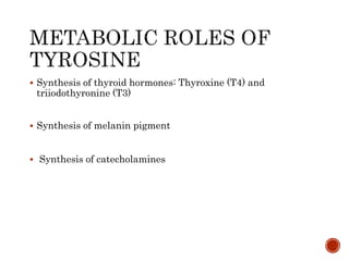  Synthesis of thyroid hormones: Thyroxine (T4) and
triiodothyronine (T3)
 Synthesis of melanin pigment
 Synthesis of catecholamines
 
