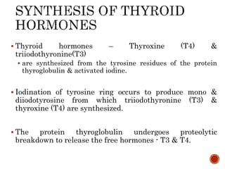  Thyroid hormones – Thyroxine (T4) &
triiodothyronine(T3)
 are synthesized from the tyrosine residues of the protein
thyroglobulin & activated iodine.
 Iodination of tyrosine ring occurs to produce mono &
diiodotyrosine from which triiodothyronine (T3) &
thyroxine (T4) are synthesized.
 The protein thyroglobulin undergoes proteolytic
breakdown to release the free hormones - T3 & T4.
 