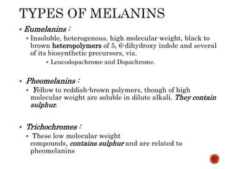  Eumelanins :
 Insoluble, heterogenous, high molecular weight, black to
brown heteropolymers of 5, 6-dihydroxy indole and several
of its biosynthetic precursors, viz.
 Leucodopachrome and Dopachrome.
 Pheomelanins :
 Yellow to reddish-brown polymers, though of high
molecular weight are soluble in dilute alkali. They contain
sulphur.
 Trichochromes :
 These low molecular weight
compounds, contains sulphur and are related to
pheomelanins
 
