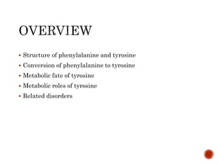  Structure of phenylalanine and tyrosine
 Conversion of phenylalanine to tyrosine
 Metabolic fate of tyrosine
 Metabolic roles of tyrosine
 Related disorders
 