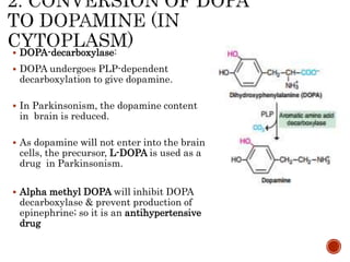  DOPA-decarboxylase:
 DOPA undergoes PLP-dependent
decarboxylation to give dopamine.
 In Parkinsonism, the dopamine content
in brain is reduced.
 As dopamine will not enter into the brain
cells, the precursor, L-DOPA is used as a
drug in Parkinsonism.
 Alpha methyl DOPA will inhibit DOPA
decarboxylase & prevent production of
epinephrine; so it is an antihypertensive
drug
 
