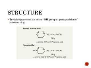 Tyrosine possesses an extra –OH group at para position of
benzene ring.
 