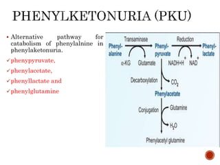  Alternative pathway for
catabolism of phenylalnine in
phenylaketonuria.
phenypyruvate,
phenylacetate,
phenyllactate and
phenylglutamine
 