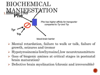 1.Effect on CNS
 Mental retardation, failure to walk or talk, failure of
growth, seizures and tremor
 Hypotyrosinemia:low[tyrosine],low neurotransmitters
 (loss of biogenic amines at critical stages in postnatal
brain maturation)
 Defective brain myelination (chronic and irreversible)
 