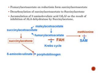  Fumarylacetoacetate on reductioin form succinylacetoacetate
 Decarboxylation of succinylacetoacetate to Succinylacetone
 Accumulation of 5-aminolevulinic acid (ALA) as the result of
inhibition of ALA dehydratase by Succinylacetone,
 