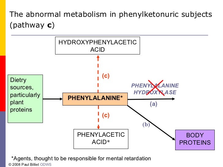 Phenylketonuria(pku)
