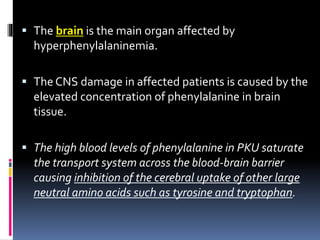  The brain is the main organ affected by
hyperphenylalaninemia.
 The CNS damage in affected patients is caused by the
elevated concentration of phenylalanine in brain
tissue.
 The high blood levels of phenylalanine in PKU saturate
the transport system across the blood-brain barrier
causing inhibition of the cerebral uptake of other large
neutral amino acids such as tyrosine and tryptophan.
 