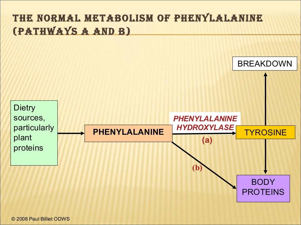 Phenylketonuria Ppt