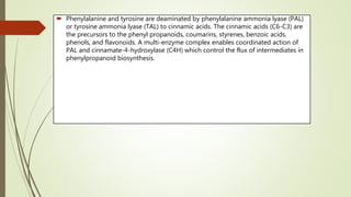  Phenylalanine and tyrosine are deaminated by phenylalanine ammonia lyase (PAL)
or tyrosine ammonia lyase (TAL) to cinnamic acids. The cinnamic acids (C6-C3) are
the precursors to the phenyl propanoids, coumarins, styrenes, benzoic acids,
phenols, and flavonoids. A multi-enzyme complex enables coordinated action of
PAL and cinnamate-4-hydroxylase (C4H) which control the flux of intermediates in
phenylpropanoid biosynthesis.
 