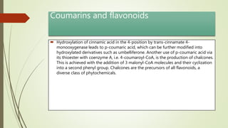 Coumarins and flavonoids
 Hydroxylation of cinnamic acid in the 4-position by trans-cinnamate 4-
monooxygenase leads to p-coumaric acid, which can be further modified into
hydroxylated derivatives such as umbelliferone. Another use of p-coumaric acid via
its thioester with coenzyme A, i.e. 4-coumaroyl-CoA, is the production of chalcones.
This is achieved with the addition of 3 malonyl-CoA molecules and their cyclization
into a second phenyl group. Chalcones are the precursors of all flavonoids, a
diverse class of phytochemicals.
 