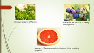 Parsley is a source of flavones Blueberries are a source of dietary
anthocyanidins
A variety of flavonoids are found in citrus fruits, including
grapefruit
 