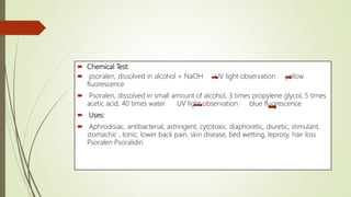  Chemical Test:
 psoralen, dissolved in alcohol + NaOH UV light observation yellow
fluorescence
 Psoralen, dissolved in small amount of alcohol, 3 times propylene glycol, 5 times
acetic acid, 40 times water UV light observation blue fluorescence
 Uses:
 Aphrodisiac, antibacterial, astringent, cytotoxic, diaphoretic, diuretic, stimulant,
stomachic , tonic, lower back pain, skin disease, bed wetting, leprosy, hair loss
Psoralen Psoralidin
 