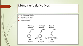 Monomeric derivatives
 p-Coumaryl alcohol
 Coniferyl alcohol
 Sinapyl alcohol
 
