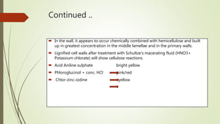 Continued ..
 In the wall, it appears to occur chemically combined with hemicellulose and built
up in greatest concentration in the middle lamellae and in the primary walls.
 Lignified cell walls after treatment with Schultze’s macerating fluid (HNO3+
Potassium chlorate) will show cellulose reactions.
 Acid Aniline sulphate bright yellow
 Phloroglucinol + conc. HCl pink/red
 Chlor-zinc-iodine yellow
 